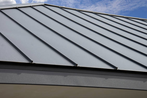 Best Asphalt Shingles Roofing  in Allegan, MI