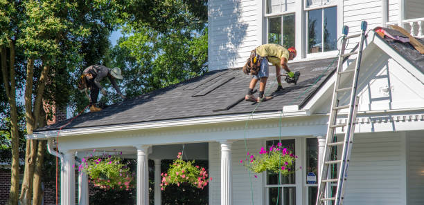 Best Gutter Installation and Repair  in Allegan, MI